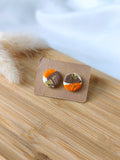 PUCES D'OREILLES